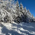 V Srdci Hor Cihlarka * بيك بود سنيزكو