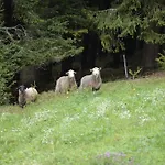 V Srdci Hor Cihlarka